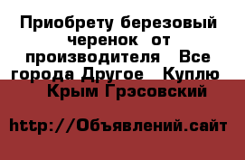 Приобрету березовый черенок  от производителя - Все города Другое » Куплю   . Крым,Грэсовский